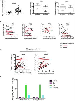 Long-Term Ibrutinib Therapy Reverses CD8+ T Cell Exhaustion in B Cell Chronic Lymphocytic Leukaemia